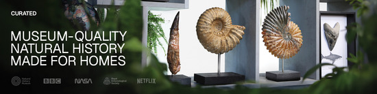 Our partners, Foundry items and Meteorite Bell Jar