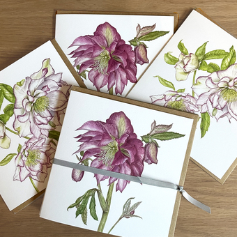 Botanical Art Cards