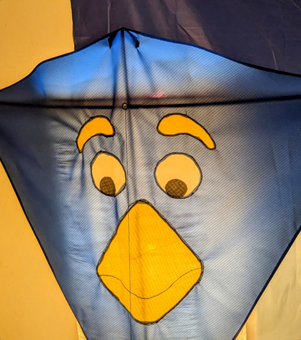 Wacky Bird Kite