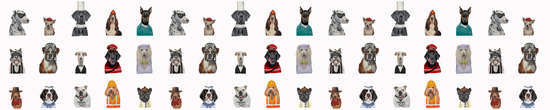 DOGS Jessica Anderton Designs 