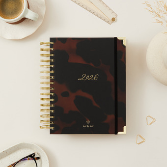 2026 Tortoise Daily Planner