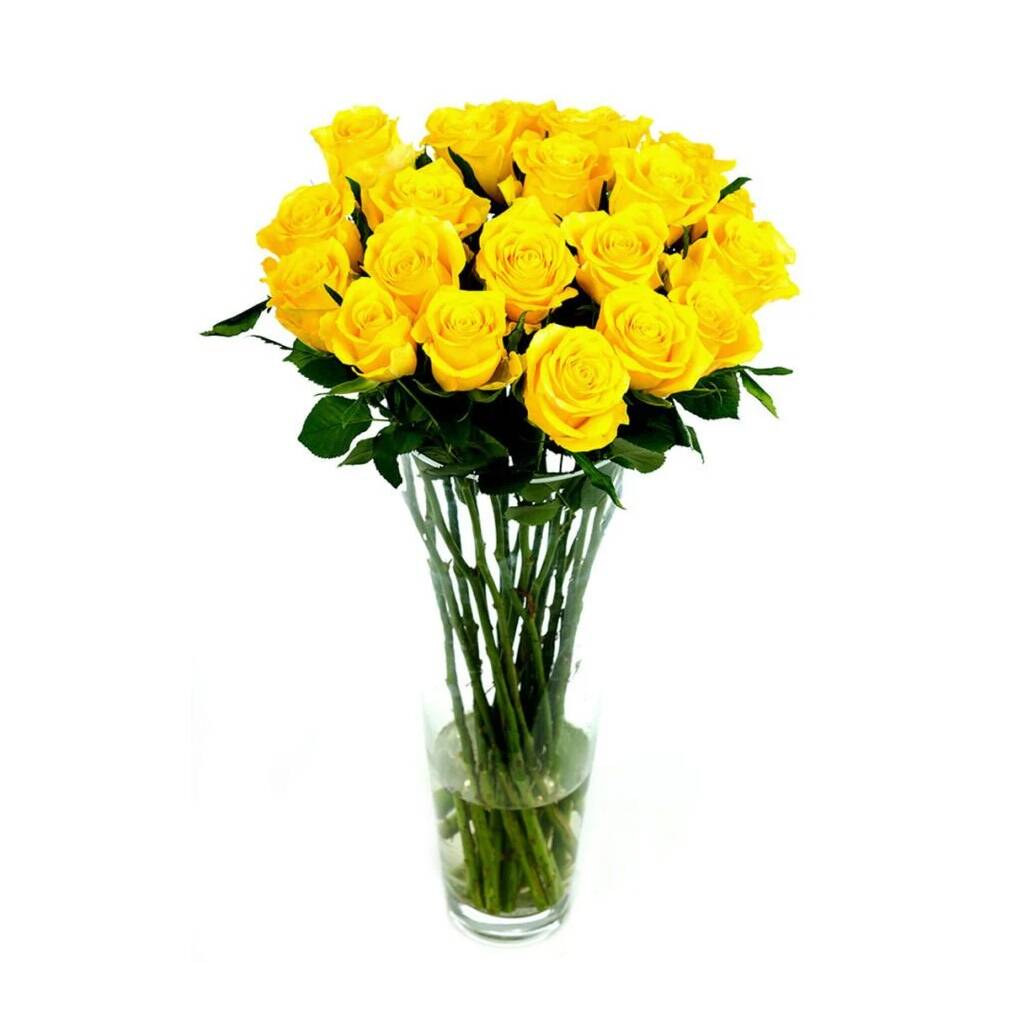 Fresh Long Stemmed Yellow Rose Bouquet