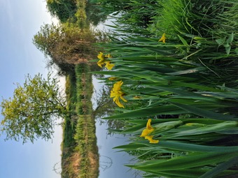 Narrowboat Home 