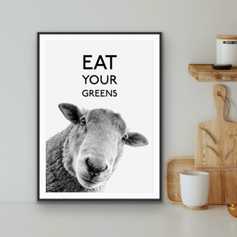 black and white sheep portrait