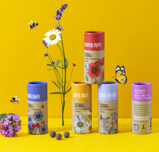seedball