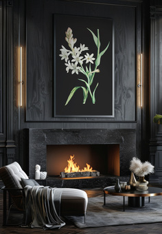 Artwork from the Aubrey and Ivory botanical range