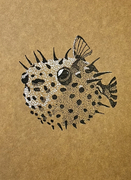 shaded art kits 3