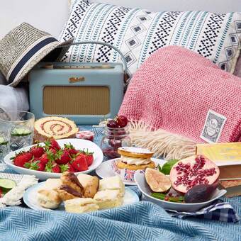 Summer Picnic 